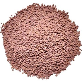 تصویر تخم ترب - ده کیلو 