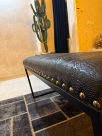 تصویر نیمکت سوسماری 