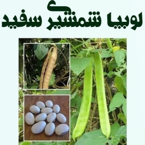 تصویر فروشگاه باغبان ارگانیک