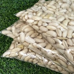 تصویر باقلا مخصوص باقلا خورشتی،بصورت خشک شده ۵۰۰ گرمی 