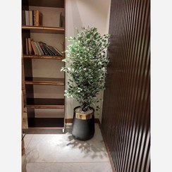 تصویر درختچه مصنوعی بنجامین مدل اَبلق 