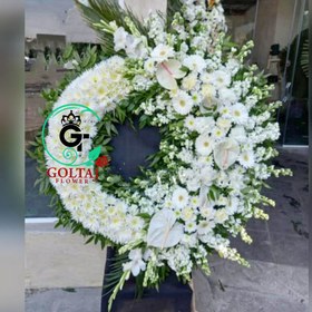 تصویر تاج گل سالویا 