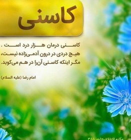 تصویر برگ تازه کاسنی 300 گرمی 