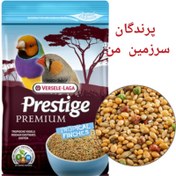 تصویر دان پریمیوم ورسلگا پرنده فنچ 500گرم 