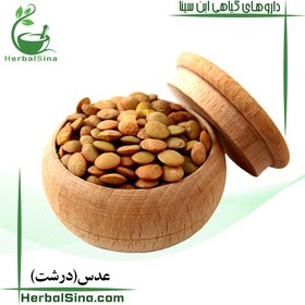 تصویر عدس درشت 