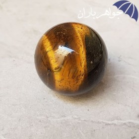 تصویر گوی چشم ببر اصل درشت H3036 