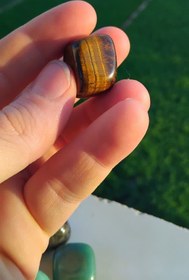 تصویر تامبل چشم ببر 