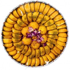 تصویر گزی نگینی 