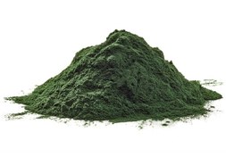 تصویر جلک اسپرولینا - 42 کپسول Spirulina Organic