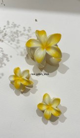 تصویر ست کلیپس پلومریا - سبز 