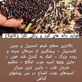 تصویر روغن کلزا (کانولا) یک لیتری نیکو تهیه شده به روش پرس سرد و بدون افزودنی و مواد نگهدارنده 