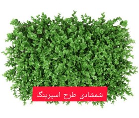 تصویر گرین وال شمشادی طرح اسپرینگ 