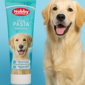 تصویر خمیر دندان سگ نوبی | Nobby tooth paste 