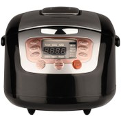 تصویر پلوپز هاردستون مدل RCP7350 