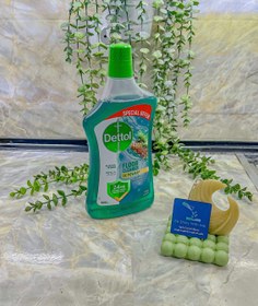 تصویر کفشور دتول - سبز Dettol