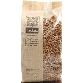 تصویر دان سماق 