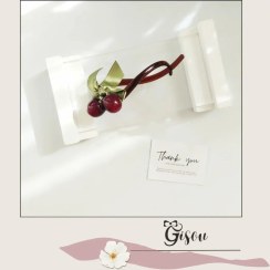 تصویر گیره پشت مویی گیلاسی 