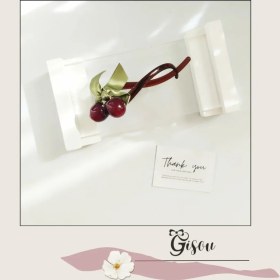 تصویر گیره پشت مویی گیلاسی 