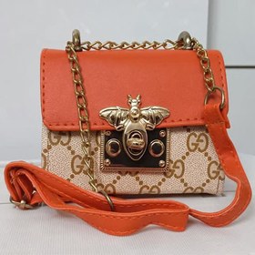 تصویر مینی بگ نارنجی 