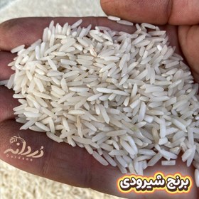 تصویر برنج شیرودی 10 کیلویی 