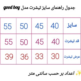 تصویر ست تیشرت و شلوارک برمودا پسرونه 