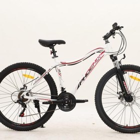 تصویر دوچرخه ZK 100 سایز 20 با برند اصلی فونیکس مدل اسکای 