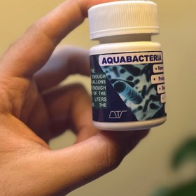 تصویر آکوا باکتر 