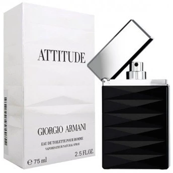 خرید و قیمت Armani Attitude Giorgio Armani | ترب