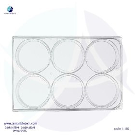 تصویر پلیت کشت سلول استریل 6 خانه با کف تخت محصول لب سلکت 6-well Cell Culture Plates