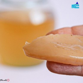 تصویر فروش ویژه 110 گرم قارچ کامبوجا تازه وفعال به همراه 850 میلی لیتر شربت کامبوجا آموزش رایگان 