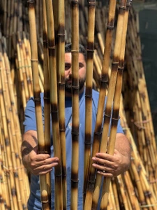 تصویر فروشگاه گلستونک