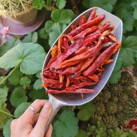 تصویر فلفل چیلی - پودر 