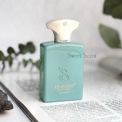 تصویر عطر ادوپرفیوم مردانه برندینی مدل آمواج سرچ حجم ۳۳ میلی لیتر 