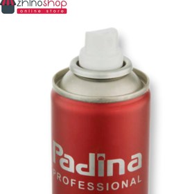 تصویر اسپری حالت دهنده قوی مو پادینا دیجی فردا ا Padina Hair Styling Padina Hair Styling