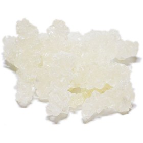 تصویر نبات شاخه سفید 