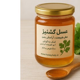 تصویر عسل گشنیز - 910 گرم 