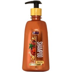 تصویر شامپو عصاره گانودرما روزانه دکتر بیز Biz shampoo Ganooderma for daily care