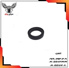 تصویر کاسه نمد کمک جلو بنلی 