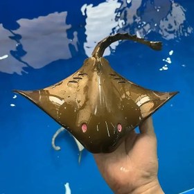 تصویر اسباب بازی سفره ماهی کنترلی SWIM MANTA RAY REMOTE CONTROL