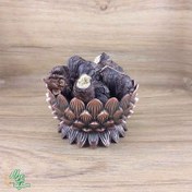 تصویر ریشه اریسا یا ریشه ایرسا یا ریشه گیاه زنبق یا ریشه علیسا نیم کیلویی عطاری دستانی 