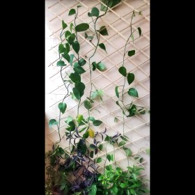 تصویر درب آکاردئونی زایرا مهتران چوب 