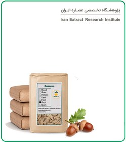 تصویر مغز بلوط خشک فله 