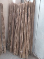 تصویر شاخه بامبو نی خیزران قد 170 