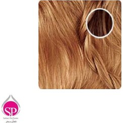 تصویر کیت رنگ ابرو بلوند شکلاتی روشن بیول -8.8 (CH8) 