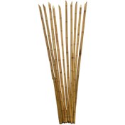 تصویر نی بامبو شماره ۱ 