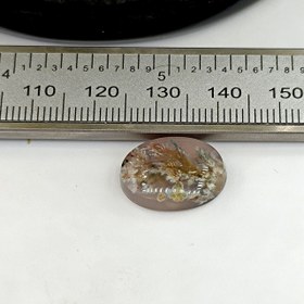 تصویر نگین شجر طبیعی کد ۱۲۰۸۰ 