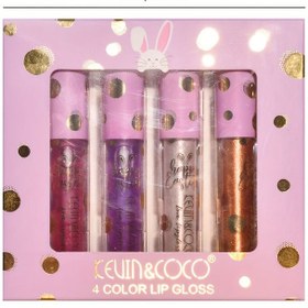 تصویر ست ۴ عددی شاین لب و روغن لب کوین کوکو kevin and coco lipgloss set 