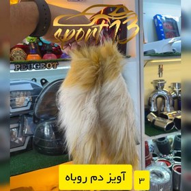 تصویر آویز دم روباه 