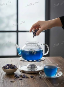 تصویر فروشگاه عطاری کاویانی