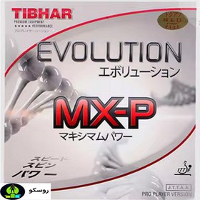 تصویر رویه ی راکت تیبهار اولوشن mxp 